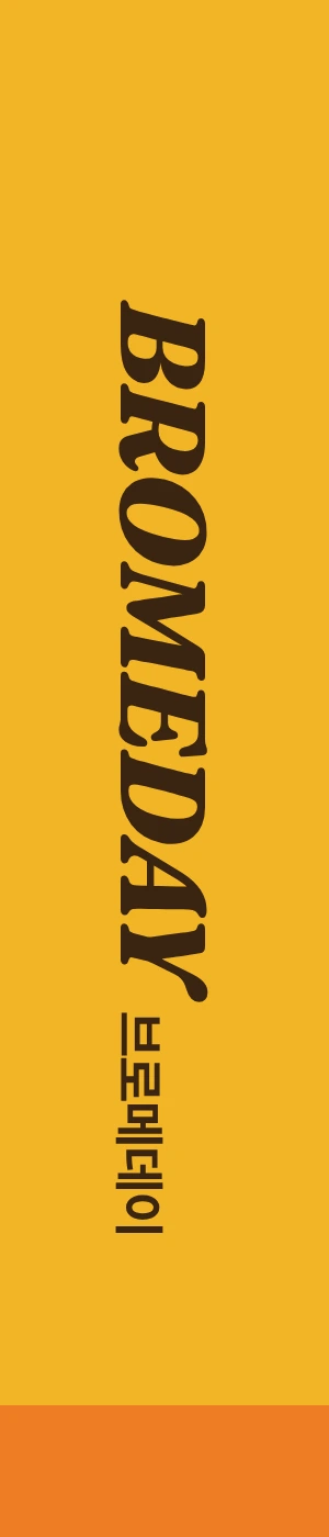 Side artwork of the Bromeday box